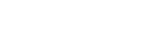 logo tiggo8
